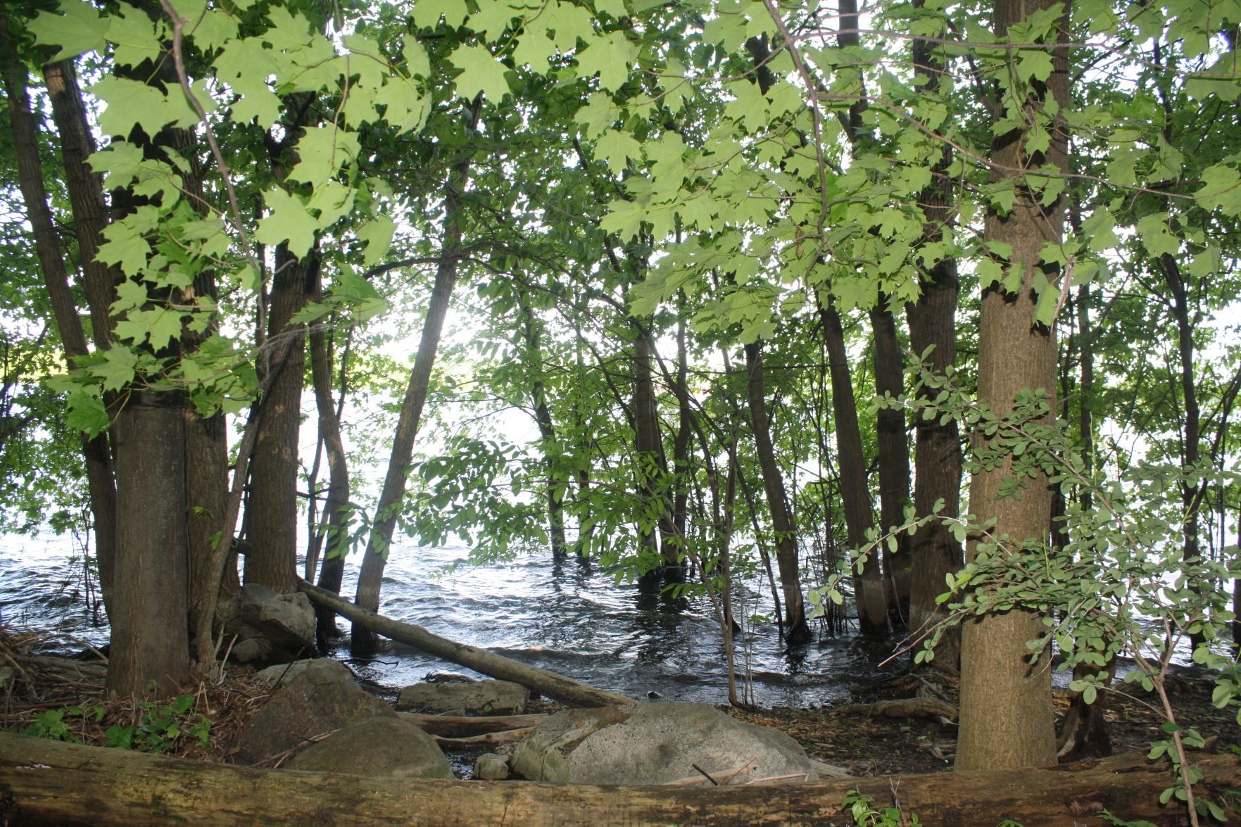 Knight Point State Park